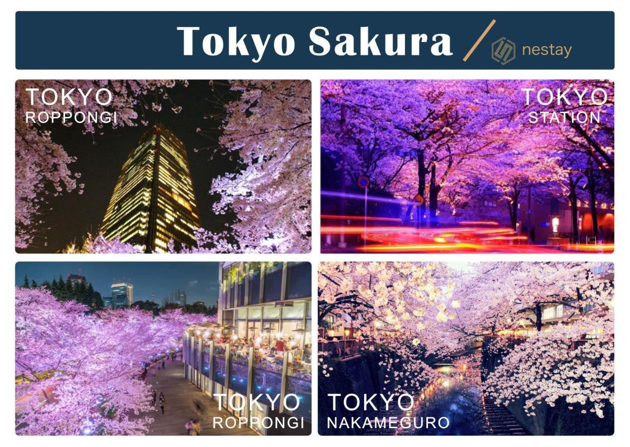 Nestay Inn Tokyo Otsuka 403 Экстерьер фото